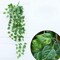 84 feet 12 Pack Fake Vines Artificial Ivy Leaves Plants Hanging Greenery Plant Garland for Bedroom Office Wall Decor Indoor Outdoors (84Ft Artificial Scindapsus Leaves)